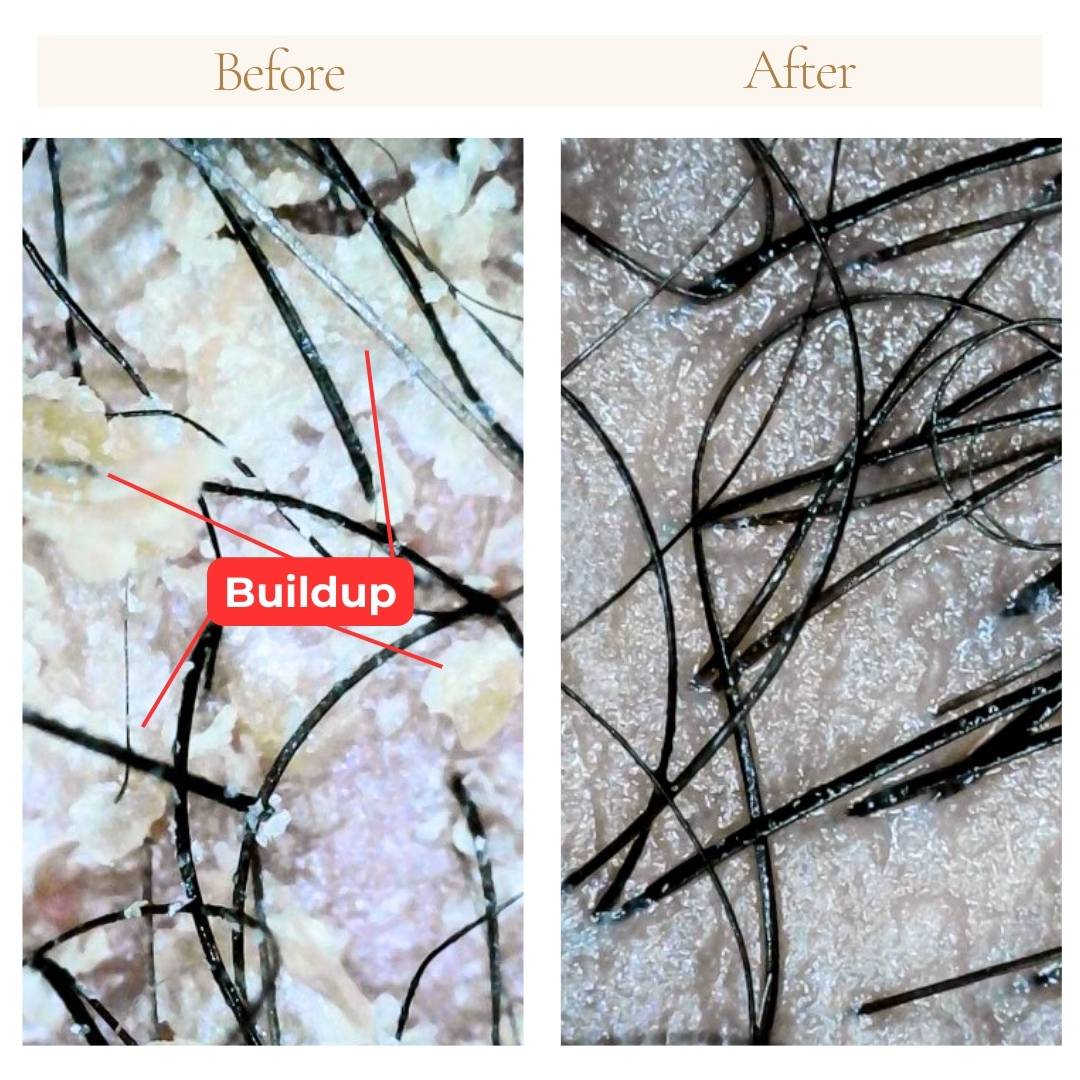 Hydrate & Restore Shampoo - DES Hair Care