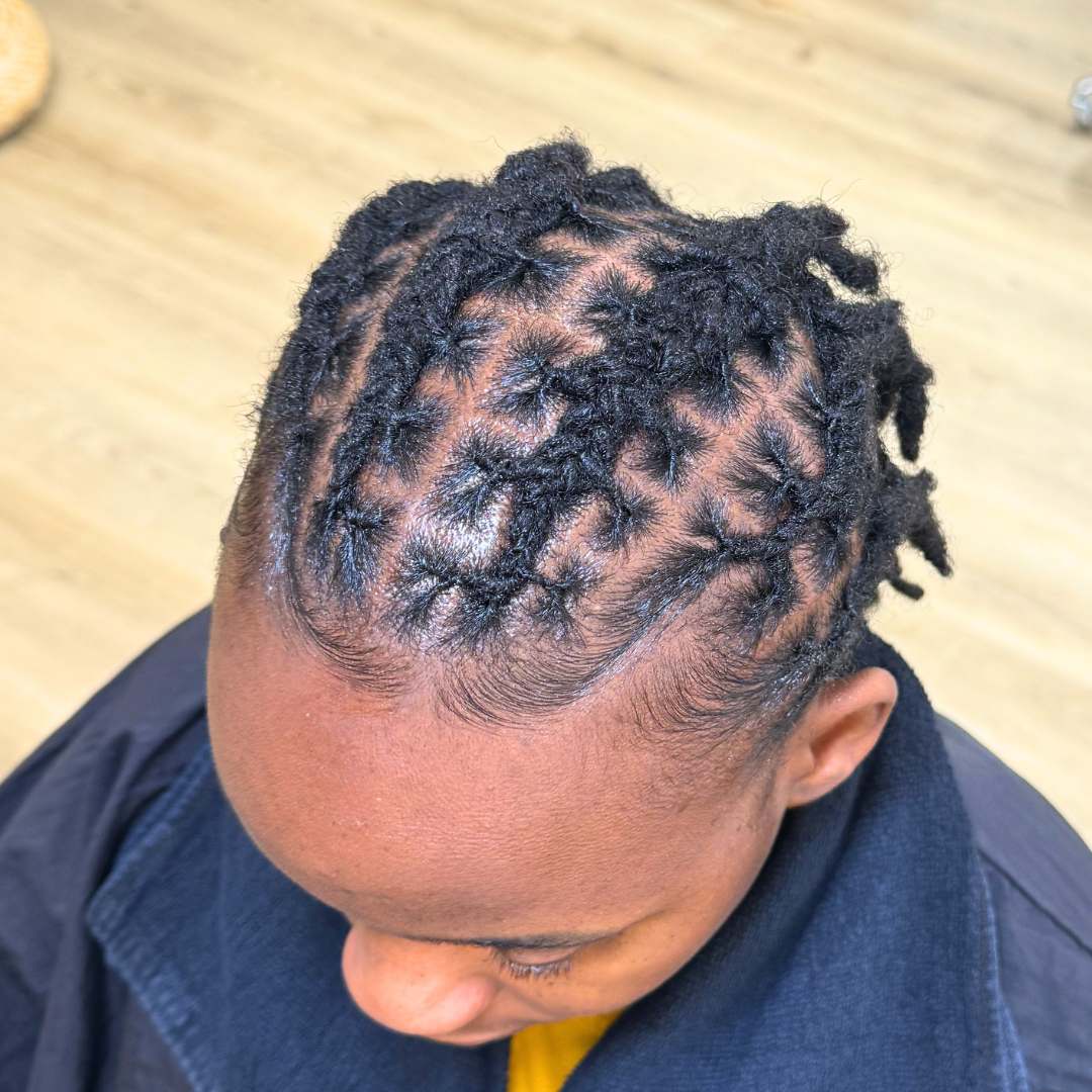 Overhead view of short starter locs with precise grid parting pattern — DES Curl Spa loc retwist Vancouver
